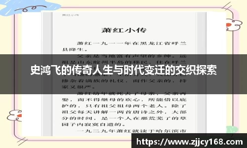 史鸿飞的传奇人生与时代变迁的交织探索